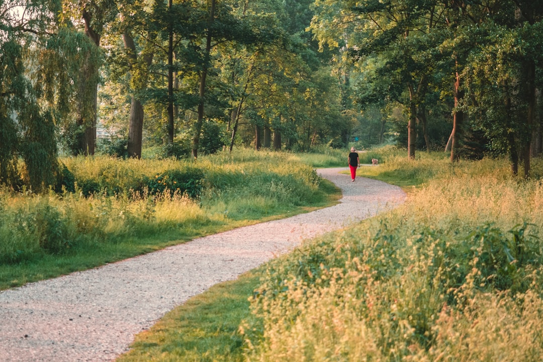 The Woodlands Real Estate: A First-Time Buyer’s Guide